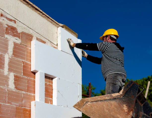 Best Cellulose Insulation in Sinton, TX