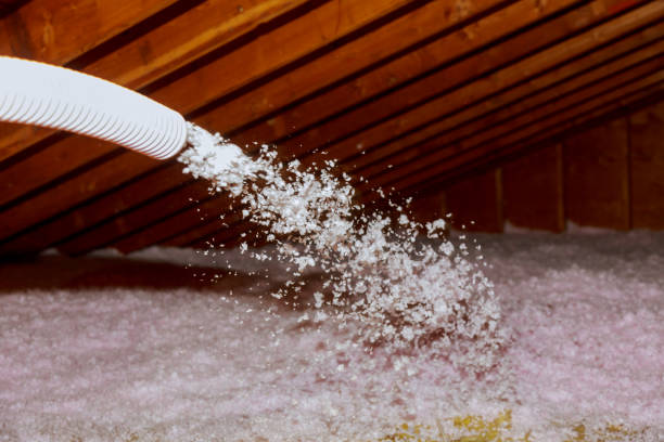 Best Energy Efficiency Insulation in Sinton, TX