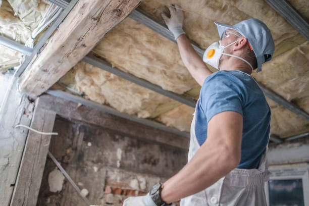 Best Fiberglass Insulation in Sinton, TX