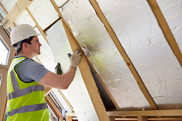 Professional Insulation Contractor in Sinton, TX